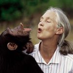 How Jane Goodall changed the way we see animals – and the world