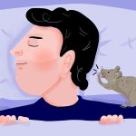 What might the humble house mouse be trying to tell us?