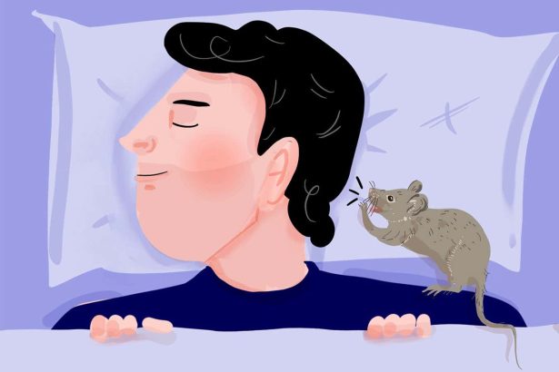 What might the humble house mouse be trying to tell us?