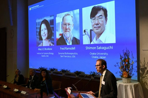 Nobel prize for medicine goes to trio for work on immune tolerance