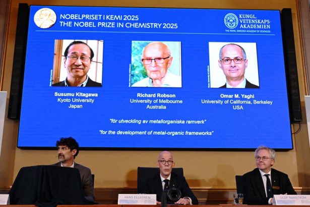 Nobel prize in chemistry awarded for work on molecular architecture