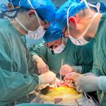 Pig liver transplant into a living person edges it closer to the norm
