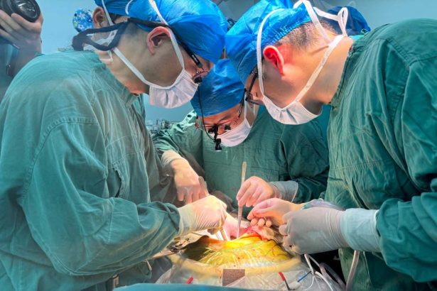 Pig liver transplant into a living person edges it closer to the norm