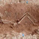 ‘Pregnancy test’ for skeletons could help reveal ancient mothers