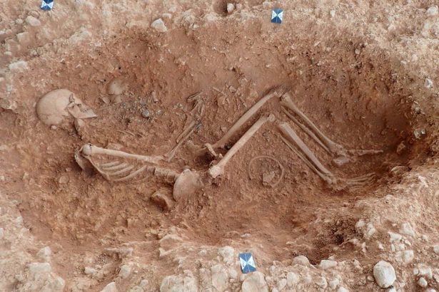 ‘Pregnancy test’ for skeletons could help reveal ancient mothers