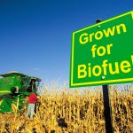 Are biofuels a good idea? Only if you’re a farmer or shipping company