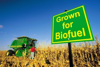 Are biofuels a good idea? Only if you’re a farmer or shipping company