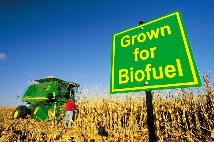 Are biofuels a good idea? Only if you’re a farmer or shipping company