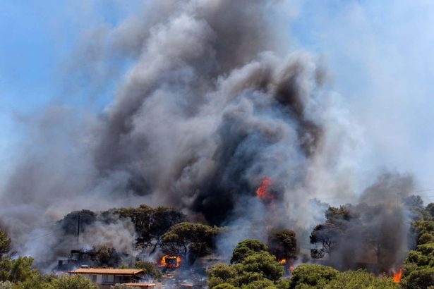 CO2 levels in Earth’s atmosphere jumped by a record amount in 2024