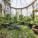 Untamed Flora Subsumes Abandoned Greenhouses in Romain Veillon’s ‘Secret Gardens’