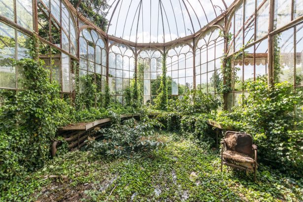 Untamed Flora Subsumes Abandoned Greenhouses in Romain Veillon’s ‘Secret Gardens’