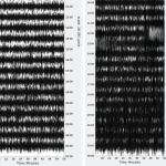 Seismometers Picked Up Hurricane Melissa’s Historic Power Like an Earthquake Seismometers Picked Up Hurricane Melissa’s Historic Power Like an Earthquake