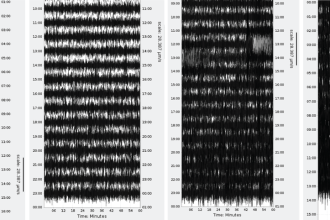 Seismometers Picked Up Hurricane Melissa’s Historic Power Like an Earthquake