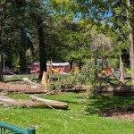 Southlanders still picking up pieces after the storm Southlanders still picking up pieces after the storm