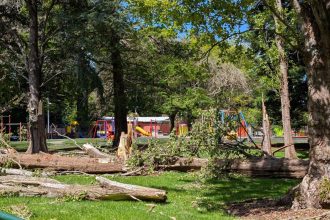 Southlanders still picking up pieces after the storm