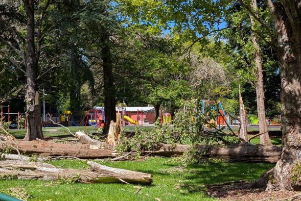 Southlanders still picking up pieces after the storm