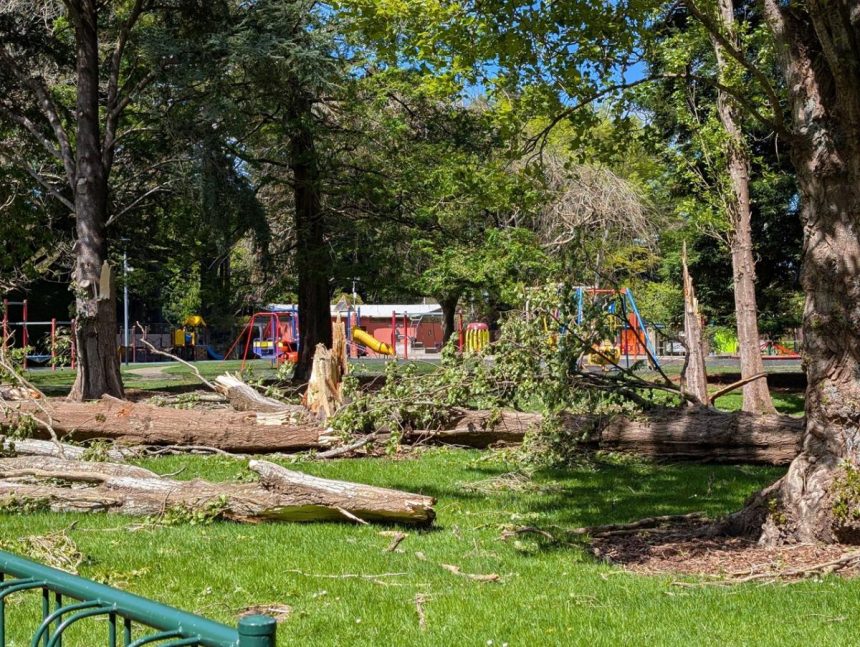 Southlanders still picking up pieces after the storm Southlanders still picking up pieces after the storm