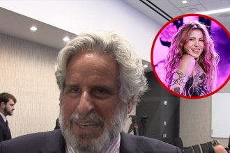 Spain’s Tax Abuses Go Beyond Targeting Celebs Like Shakira, Lawyer Alleges