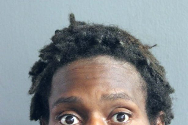 Woman admits to carjacking vehicle with a 4-year-old still inside: CPD – CWB Chicago