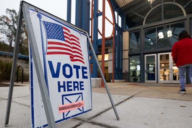 This obscure Georgia election is about so much more than your power bill