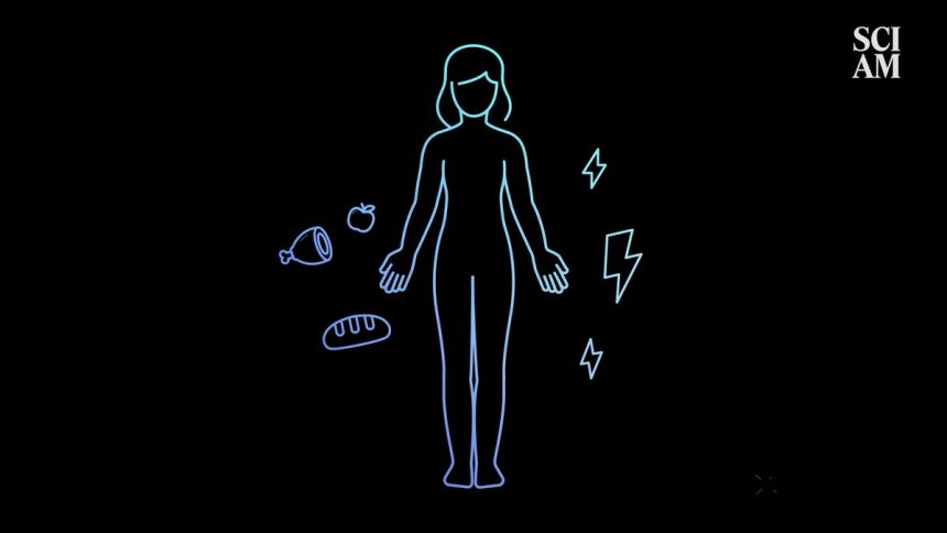 The 2,000-Year Journey to Understanding Type 1 Diabetes—And What’s Next