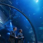 Atresmedia Sales Strikes AXN Japan Deal for ‘Una Vida Menos en Canarias’ (EXCLUSIVE)