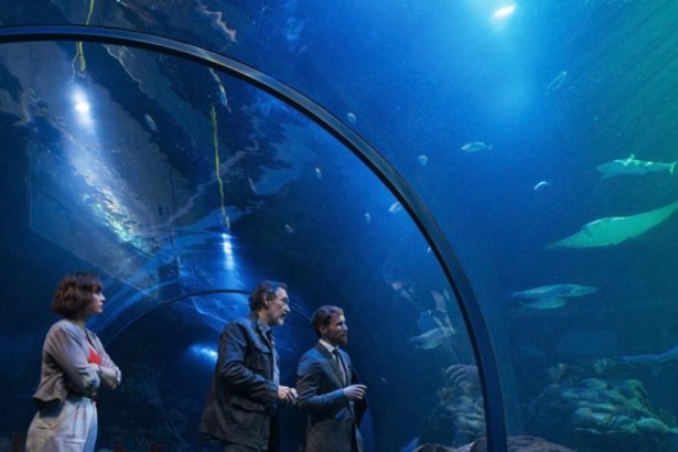 Atresmedia Sales Strikes AXN Japan Deal for ‘Una Vida Menos en Canarias’ (EXCLUSIVE)