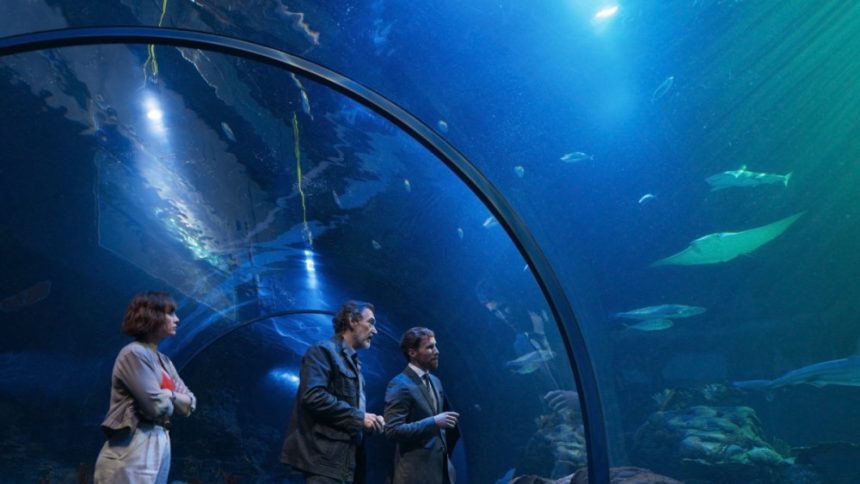 Atresmedia Sales Strikes AXN Japan Deal for ‘Una Vida Menos en Canarias’ (EXCLUSIVE)