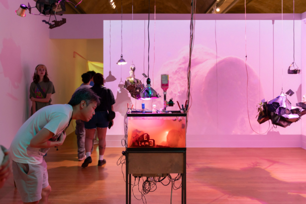 The University of Texas at Austin’s Studio Art MFA Opens Applications for Fall 2026