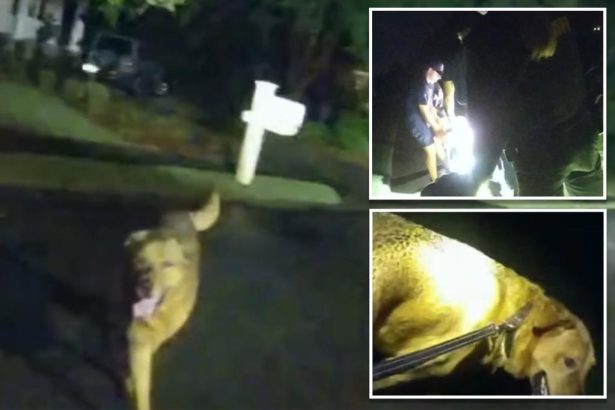 Massachusetts Woman Charged with Threatening to Kill Federal Agents to Their Faces: ‘Charlie Kirk Died and We Love it! We’re Coming for You, Gonna Kill You!’ | The Gateway Pundit | by Cassandra MacDonald