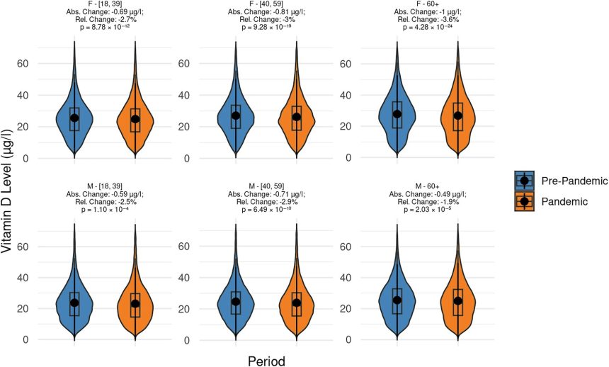 Vitamin D levels fell during pandemic for older women and urban dwellers Vitamin D levels fell during pandemic for older women and urban dwellers