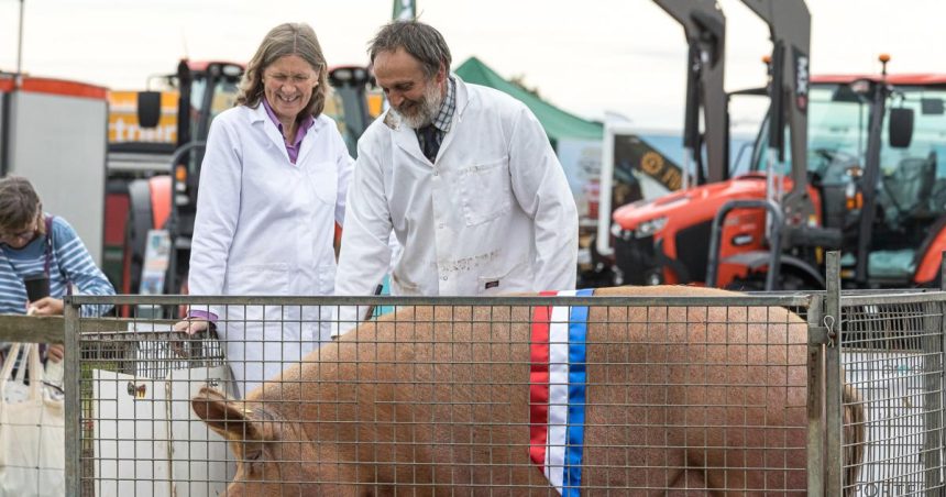 Waitrose ‘relies on animal welfare myths’ Waitrose ‘relies on animal welfare myths’