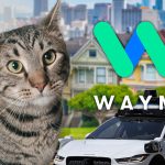 Waymo Says Cat Darted Under Self-Driving Car Before Fatal San Francisco Crash Waymo Says Cat Darted Under Self-Driving Car Before Fatal San Francisco Crash