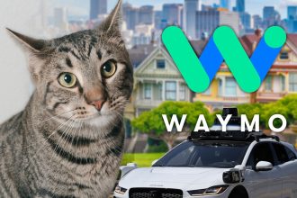 Waymo Says Cat Darted Under Self-Driving Car Before Fatal San Francisco Crash