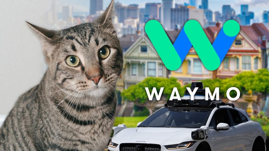 Waymo Says Cat Darted Under Self-Driving Car Before Fatal San Francisco Crash Waymo Says Cat Darted Under Self-Driving Car Before Fatal San Francisco Crash