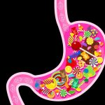Why Some Treats Are Trickier for Your Gut Microbiome Why Some Treats Are Trickier for Your Gut Microbiome