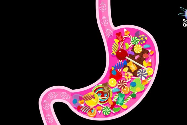 Why Some Treats Are Trickier for Your Gut Microbiome