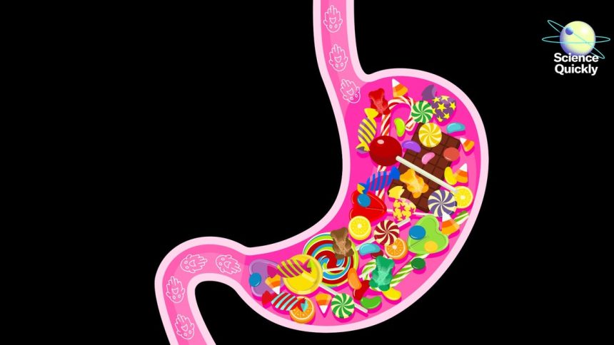Why Some Treats Are Trickier for Your Gut Microbiome Why Some Treats Are Trickier for Your Gut Microbiome