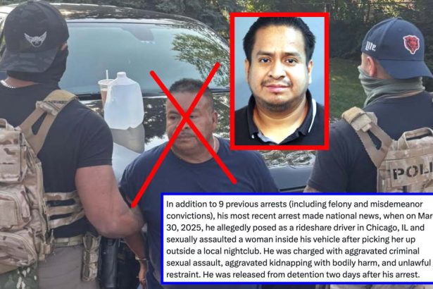 ICE commander wrongly identifies man as a rapist offficials allowed to walk the streets of Chicago – CWB Chicago