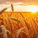 A Reliable Dividend Stock Backed by Global Scale: Archer-Daniels-Midland’s (ADM) Story