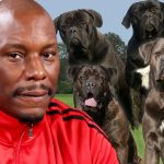 Tyrese: Cops Don't Know Where His Killer Dogs Are