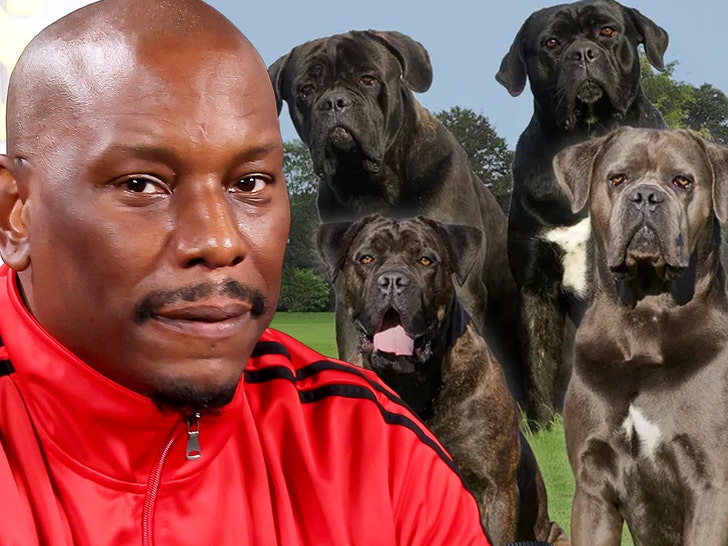 Tyrese: Cops Don't Know Where His Killer Dogs Are