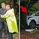 Alec and Stephen Baldwin Plow Their Range Rover into a Tree, and Survive