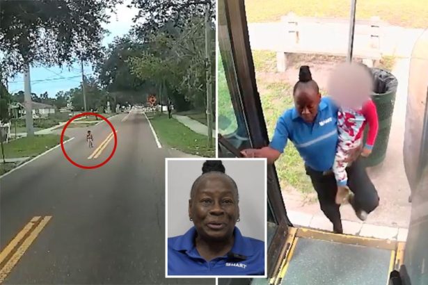 Dramatic footage shows hero bus driver saving young child wandering on busy Fla. street