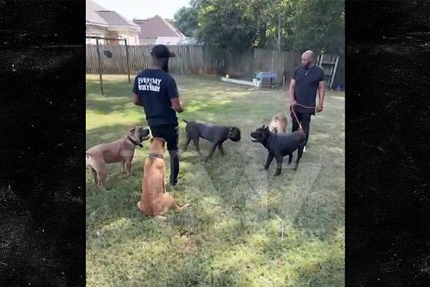 Tyrese Gibson’s Dogs Run Around Friend’s Backyard in New Video