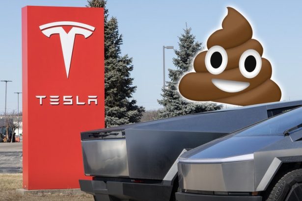 Chicago Woman Smears Dog Poop on Trump-Themed Cybertruck