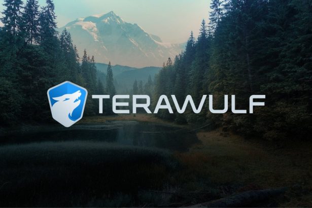 Rosenblatt raises TeraWulf price target to .50, cites undervalued HPC pipeline