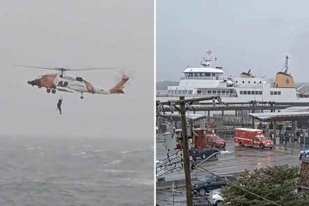 Coast Guard rescues man stranded off Cape Cod after ferry passengers spot him floundering in water during nor’easter