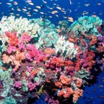 A point of no return on climate