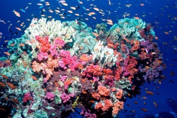 A point of no return on climate